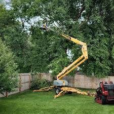 Best Tree Preservation Services  in Durham, CA